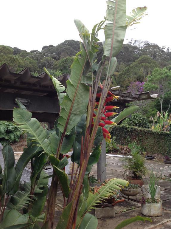 Braunes Guest House Nova Friburgo Exterior photo